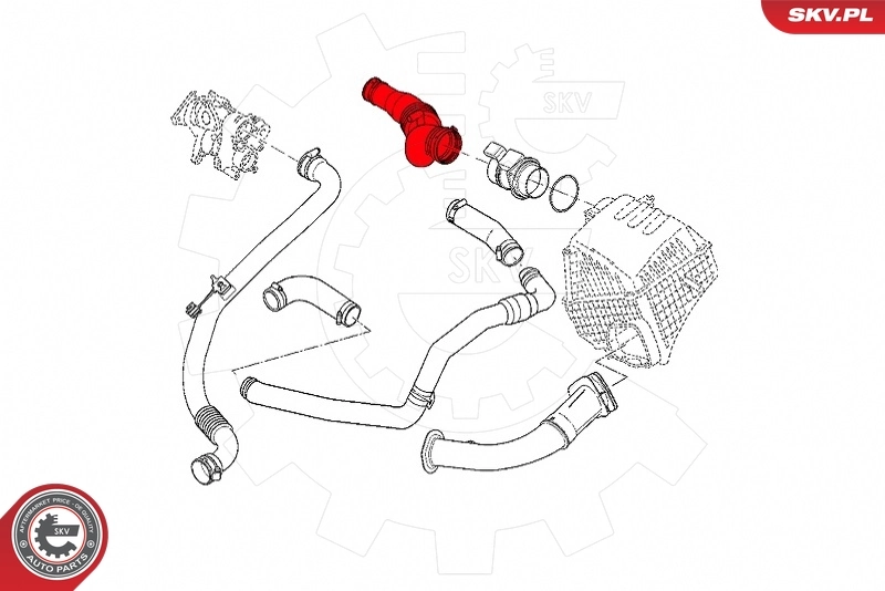 Charge Air Hose 43SKV298
