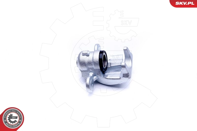 Brake Caliper 42SKV603