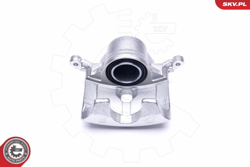 Brake Caliper 45SKV012