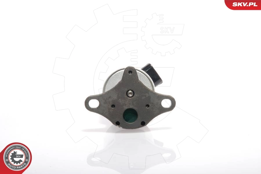 EGR Valve 14SKV017