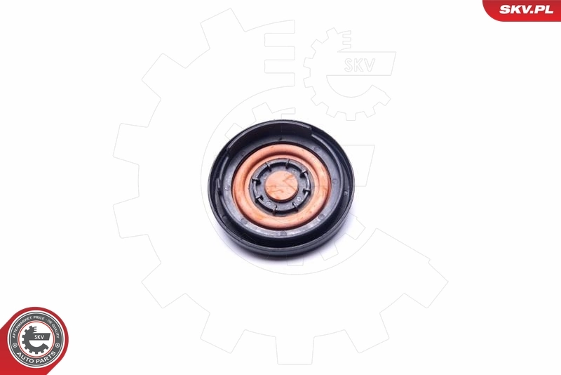 Membrane, crankcase ventilation 31SKV189