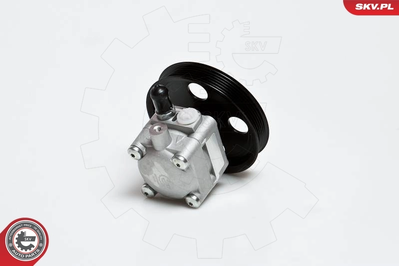 Hydraulic Pump, steering 10SKV176