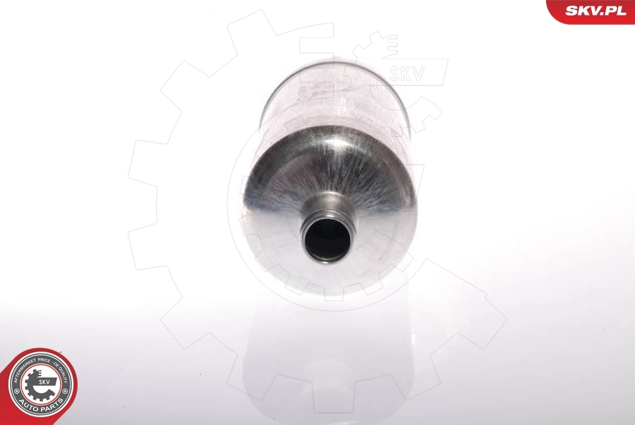 Fuel Pump 02SKV010