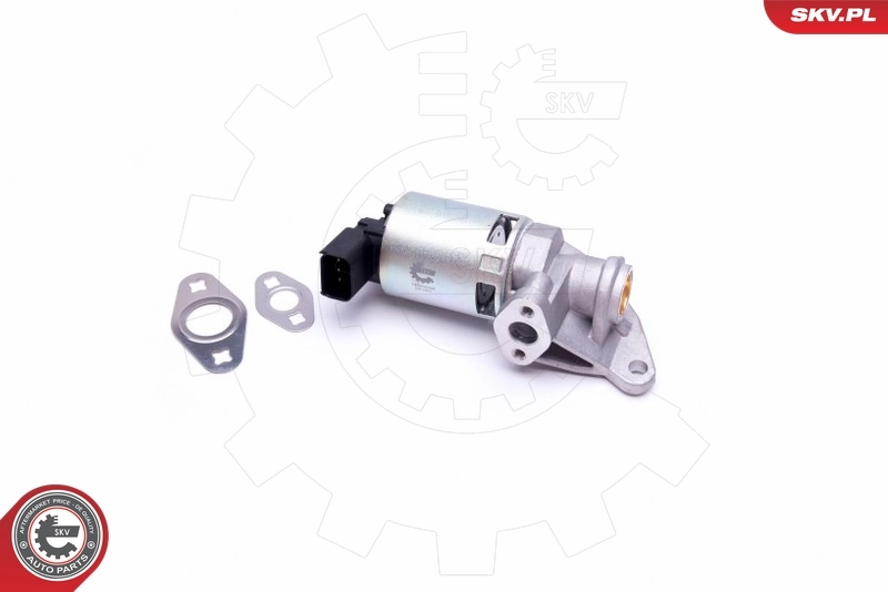 EGR Valve 14SKV208