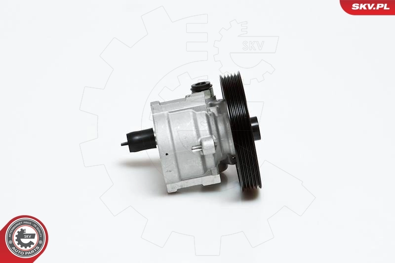 Hydraulic Pump, steering 10SKV151