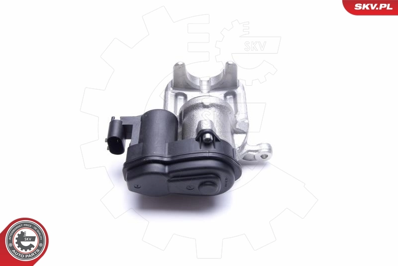 Brake Caliper 55SKV424