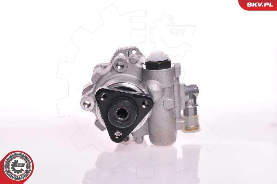 Hydraulic Pump, steering 10SKV102