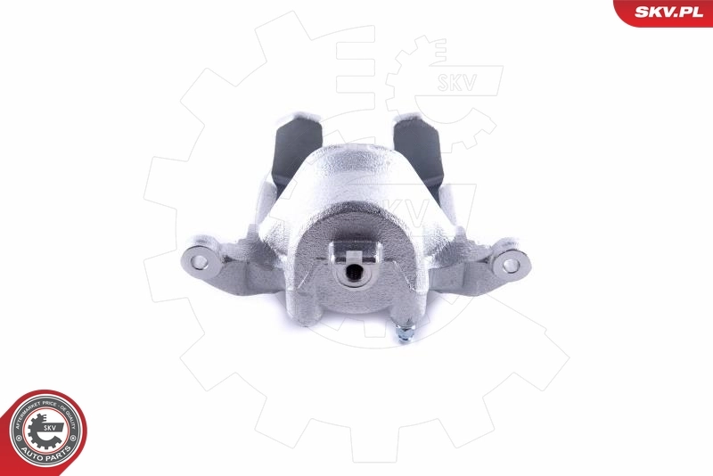 Brake Caliper 55SKV061