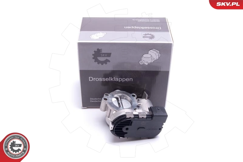 Throttle Body 12SKV119