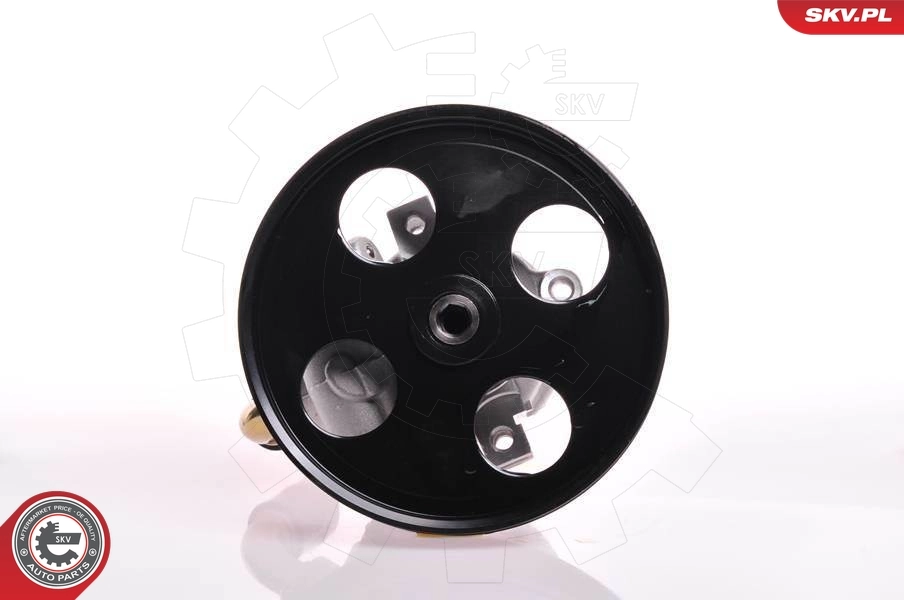 Hydraulic Pump, steering 10SKV155