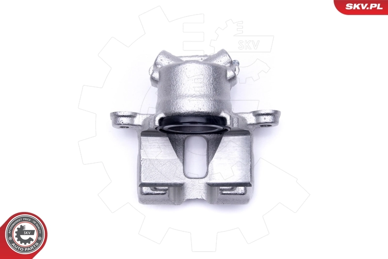 Brake Caliper 50SKV541