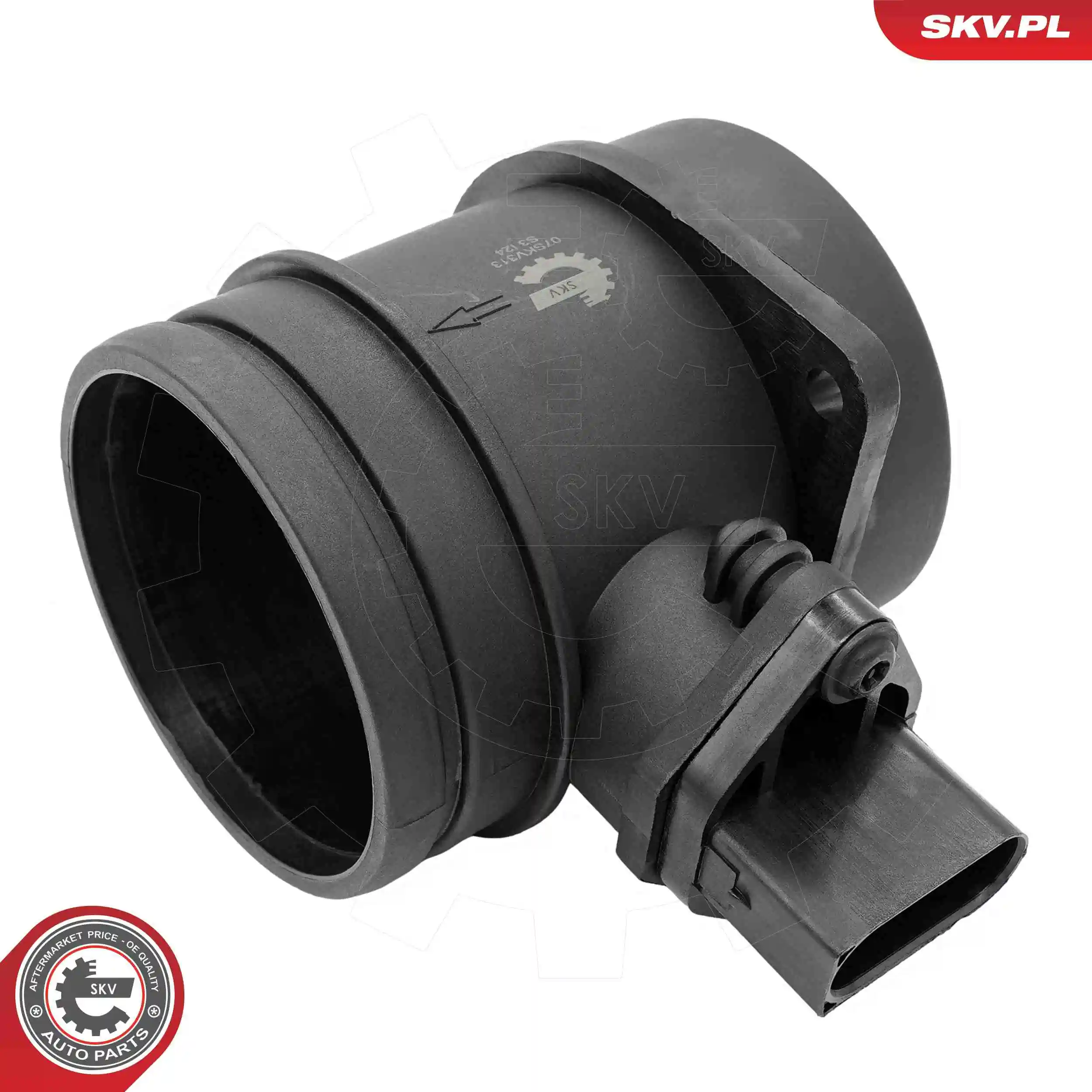 Mass Air Flow Sensor 07SKV313
