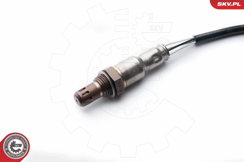 Oxygen Sensor 09SKV991