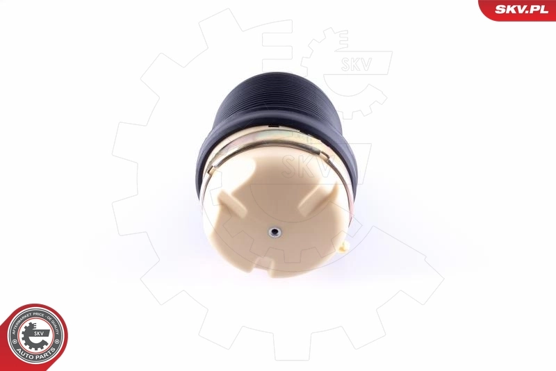 Air Spring, suspension 58SKV029