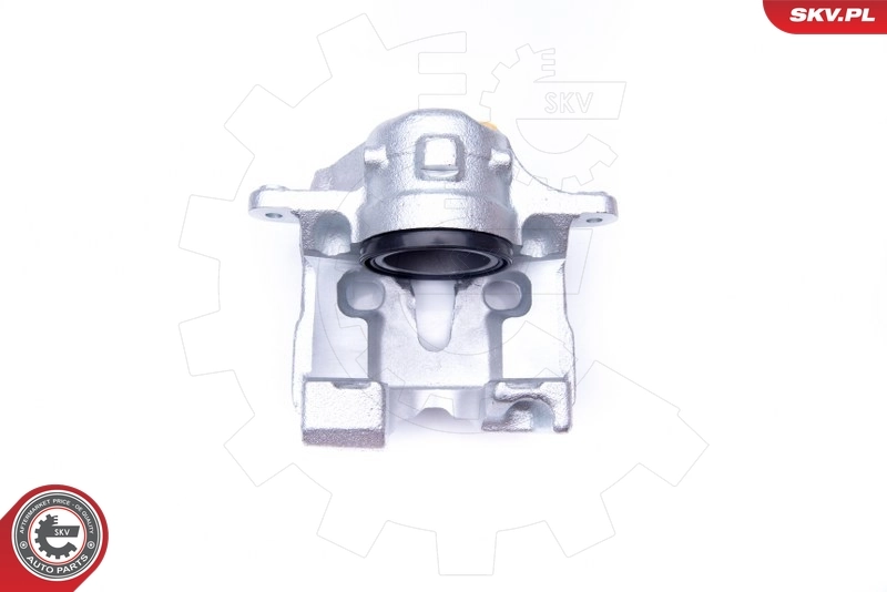 Brake Caliper 34SKV421
