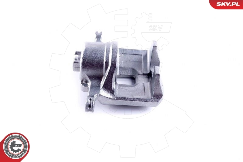 Brake Caliper 46SKV902