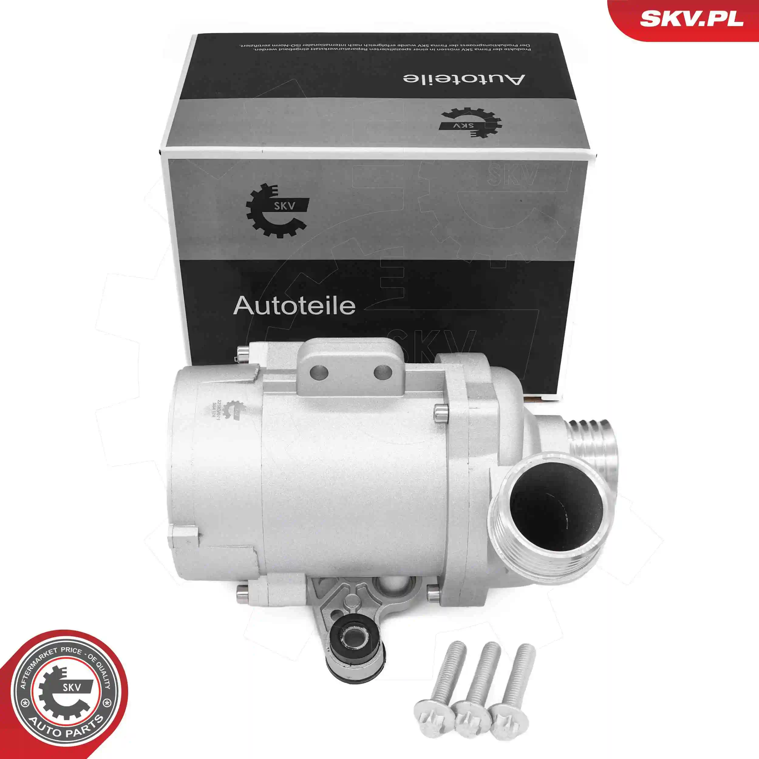 Water Pump, engine cooling 22SKV071