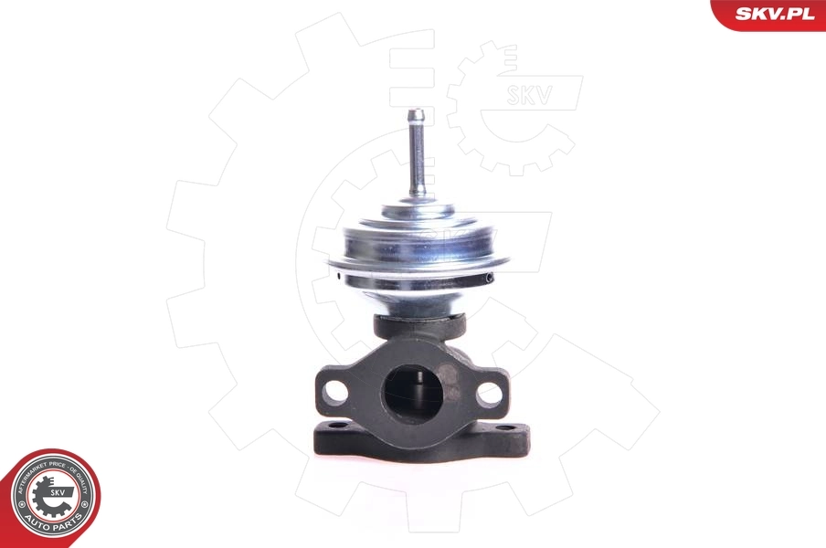 EGR Valve 14SKV005