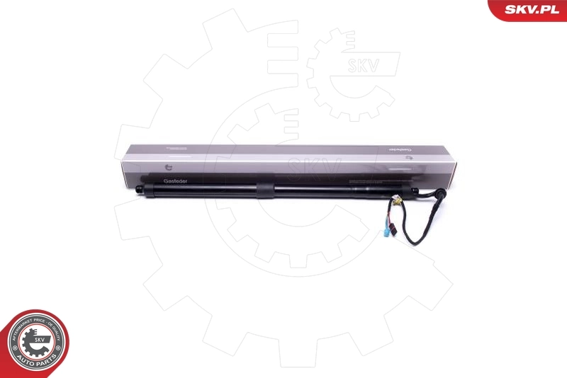 Electric Motor, tailgate 52SKV906