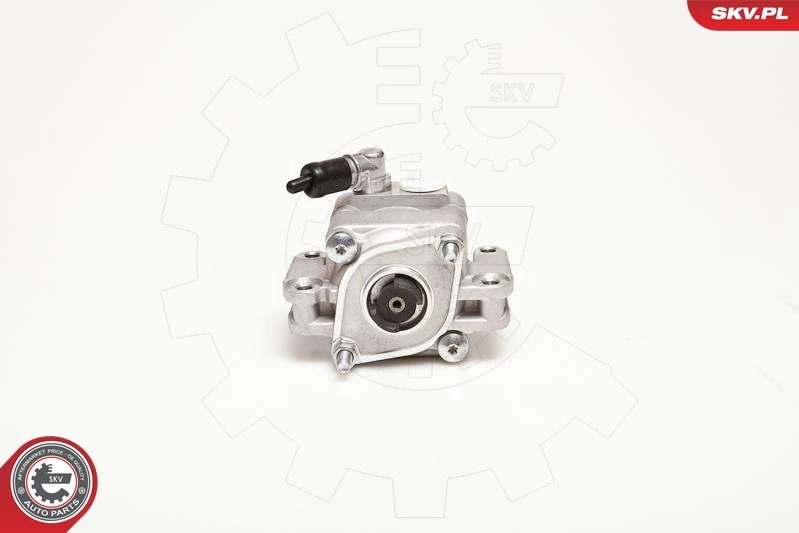 Hydraulic Pump, steering 10SKV088
