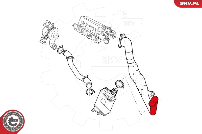 Charge Air Hose 24SKV929