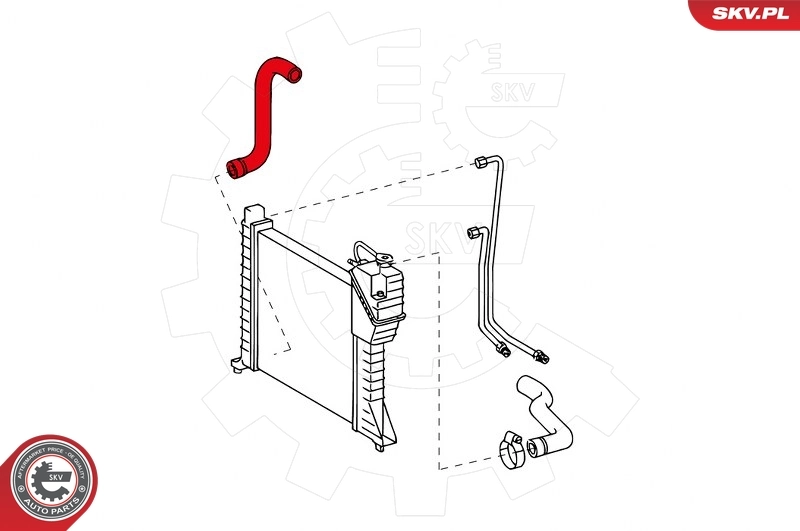 Radiator Hose 43SKV714