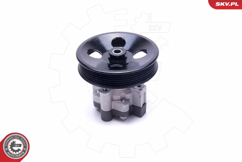 Hydraulic Pump, steering 10SKV292