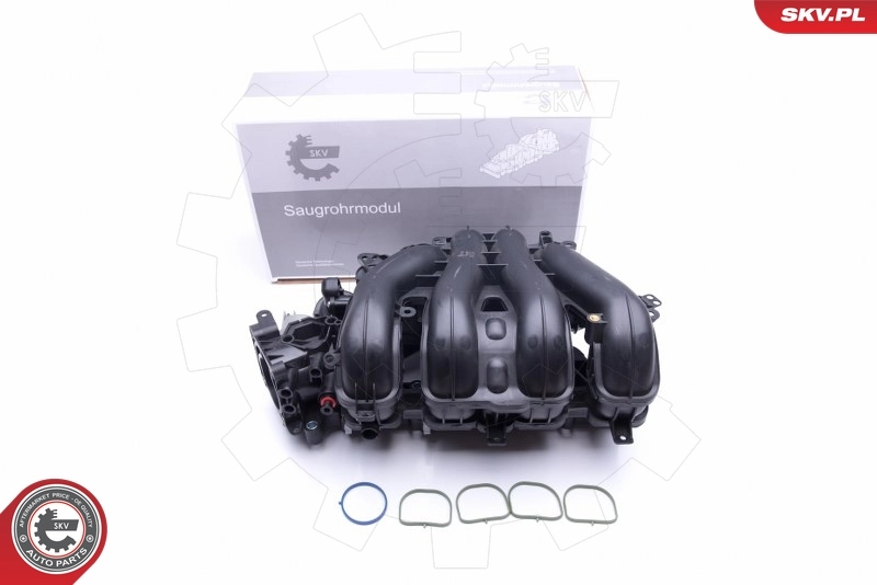 Intake Manifold Module 49SKV027