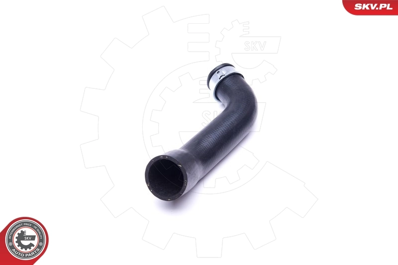 Radiator Hose 43SKV656