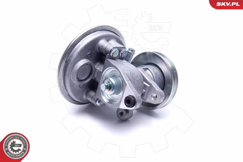 ESEN SKV 18SKV038 Vacuum Pump, braking system