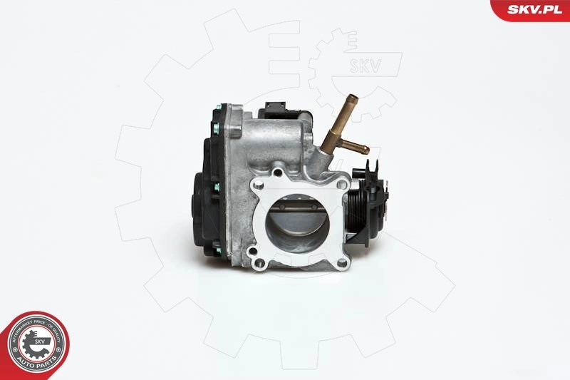Throttle Body 12SKV033