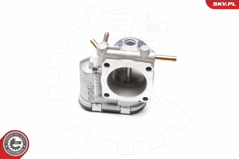 Throttle Body 12SKV045