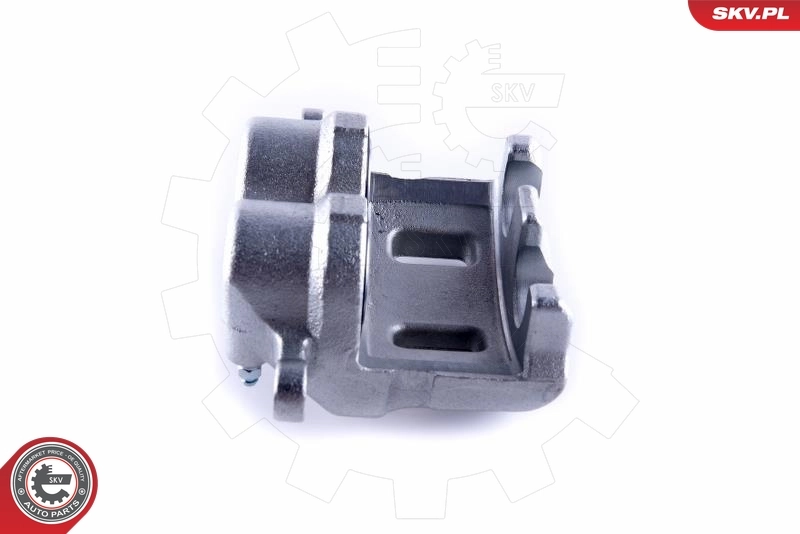 ESEN SKV 55SKV521 Brake Caliper