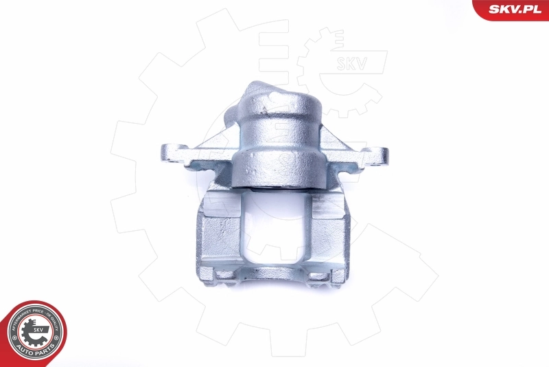 Brake Caliper 44SKV103