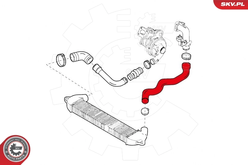 Charge Air Hose 24SKV904