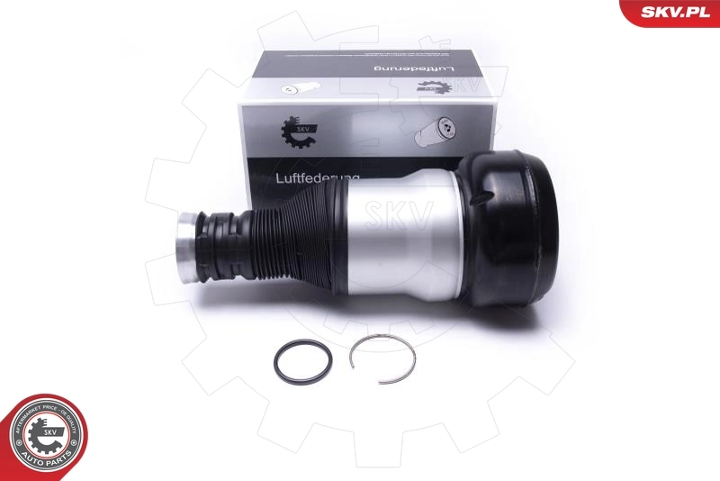 Air Suspension Strut 58SKV071