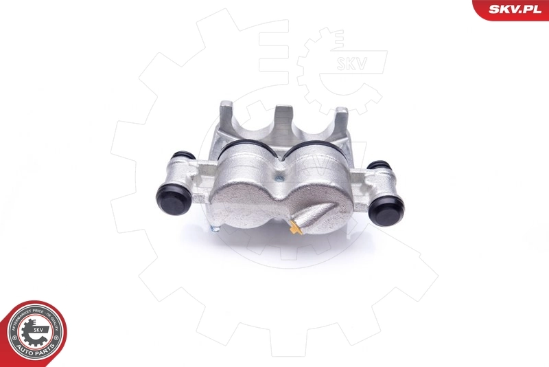 Brake Caliper 42SKV332