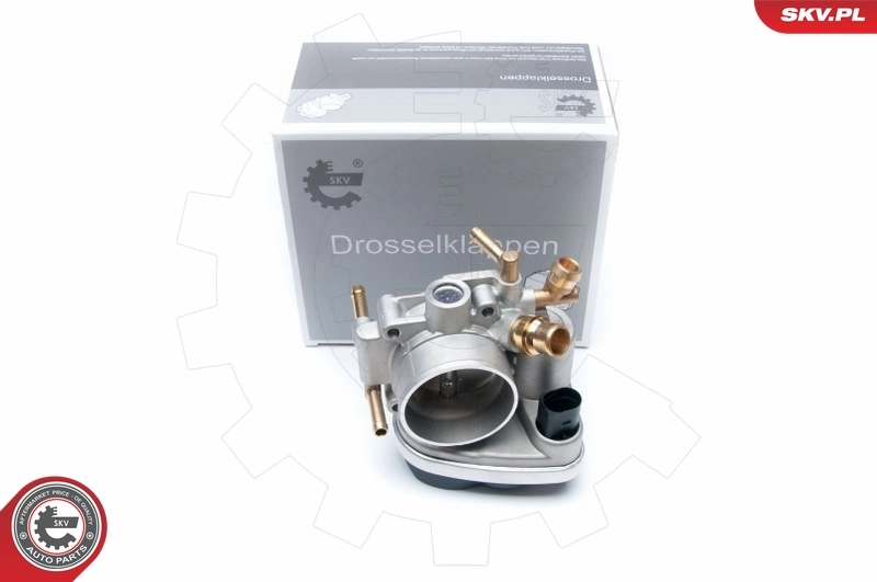 Throttle Body 12SKV049