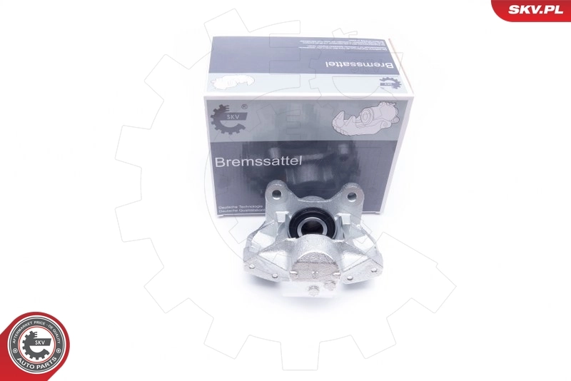 Brake Caliper 42SKV014
