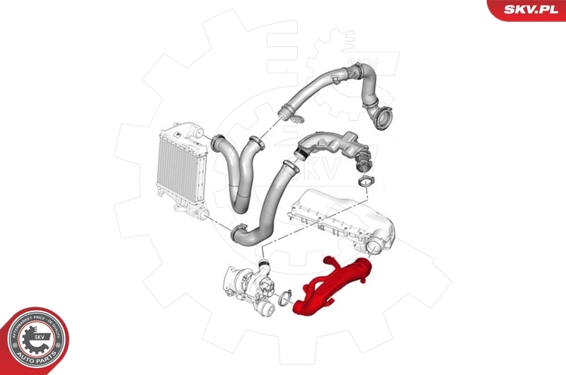 Charge Air Hose 43SKV087