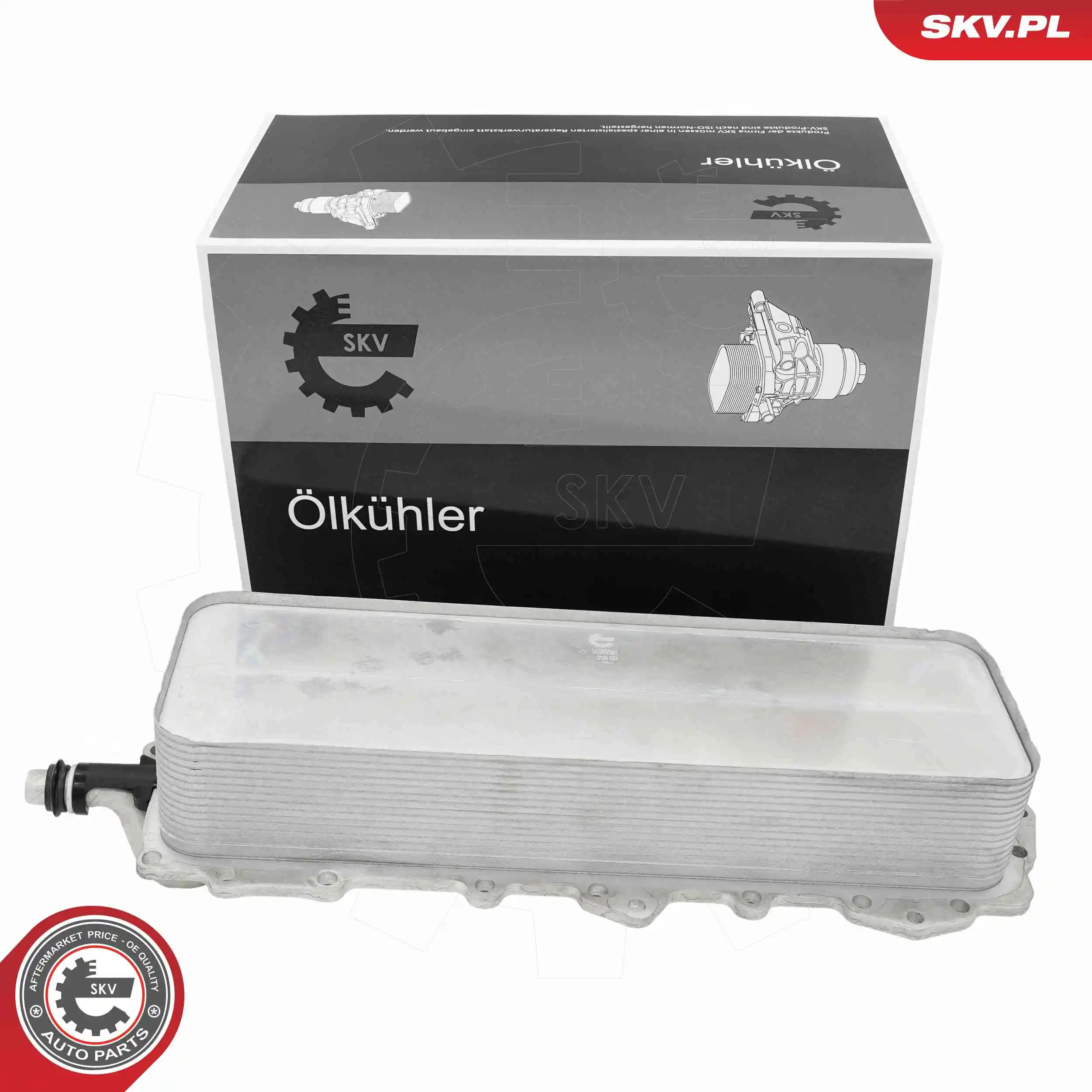 Oil Cooler, engine oil 31SKV361