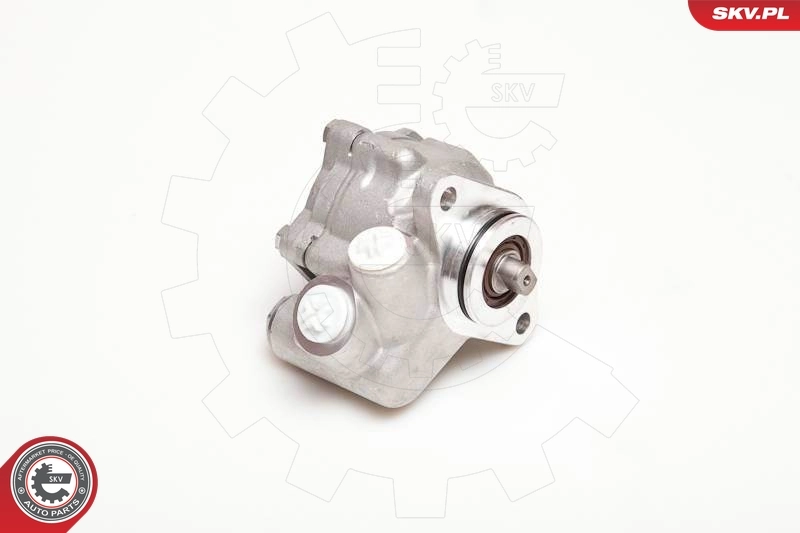 Hydraulic Pump, steering 10SKV051