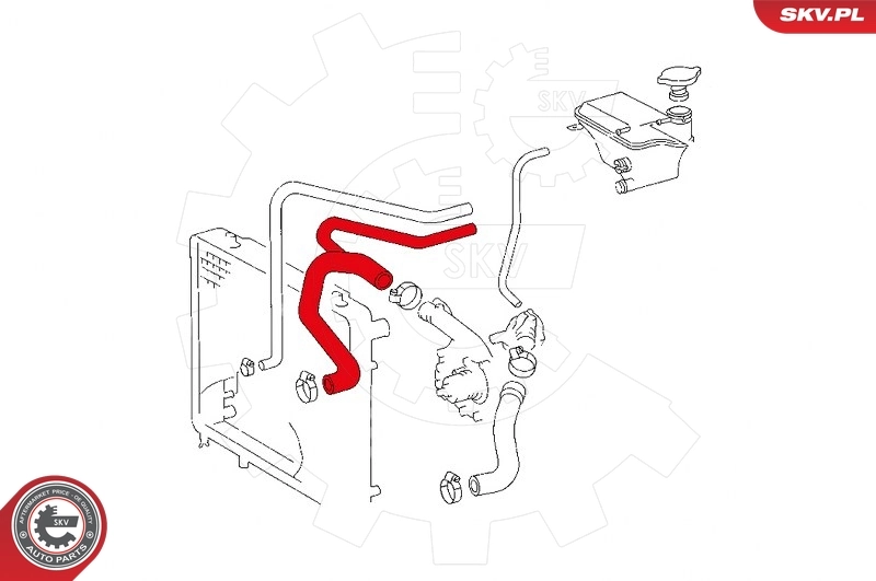 Radiator Hose 43SKV715