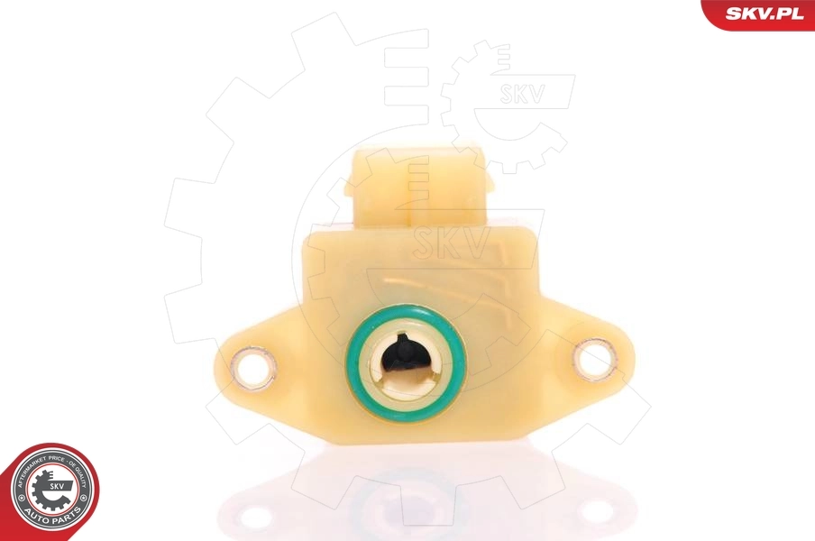 Sensor, throttle position 17SKV009