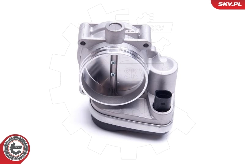 Throttle Body 12SKV123