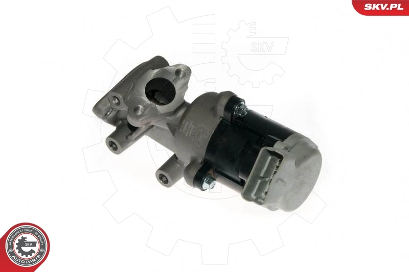 EGR Valve 14SKV089