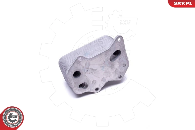 Oil Cooler, engine oil 31SKV206