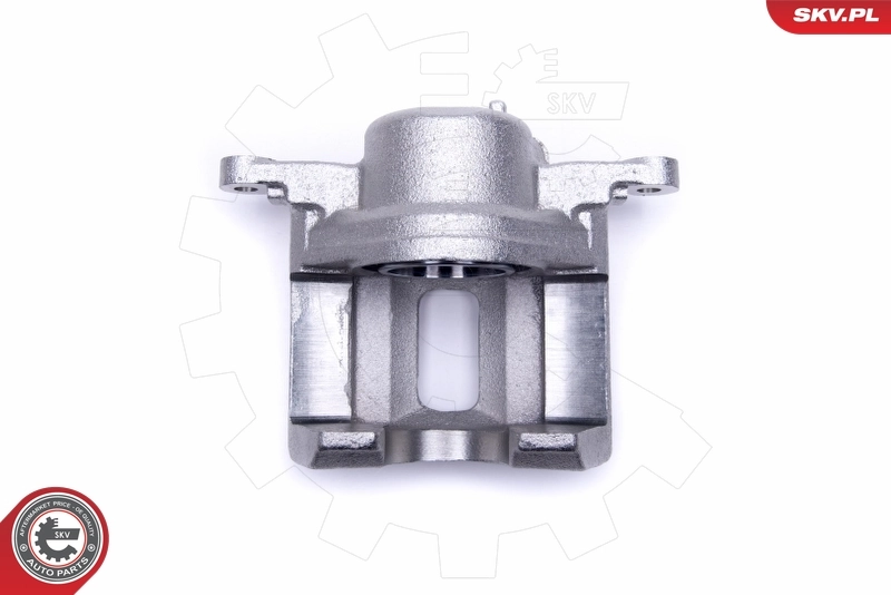 Brake Caliper 50SKV412