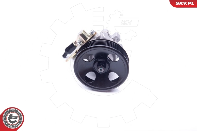 Hydraulic Pump, steering 10SKV263