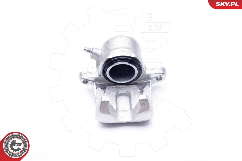 Brake Caliper 23SKV872
